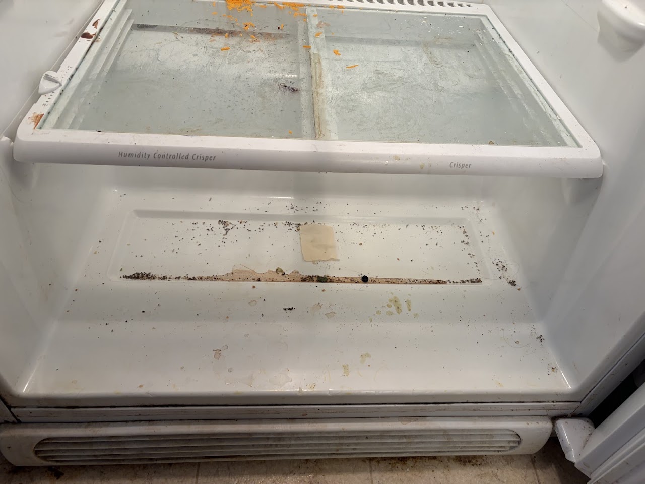 Spotless Direct project
